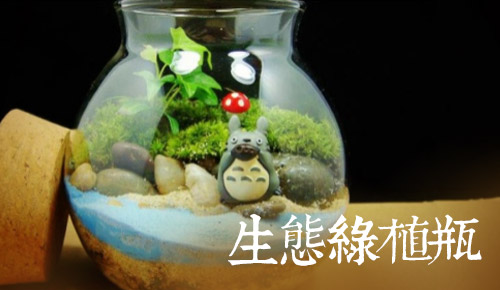 “凌云生态家”体验——生态绿植瓶