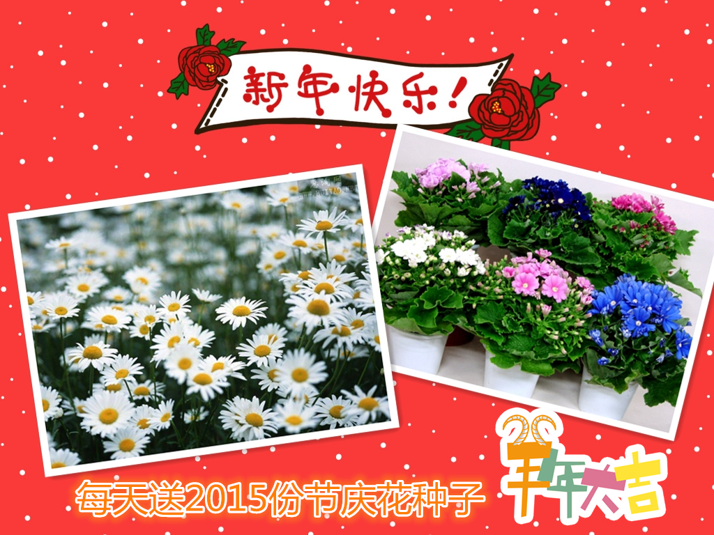 羊年新春赠祝福 贺岁金钞每日送
