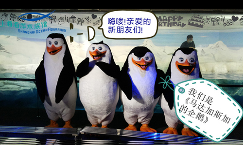 《马达加斯加的企鹅》空降上海海洋水族馆