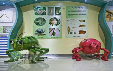 上海昆虫博物馆