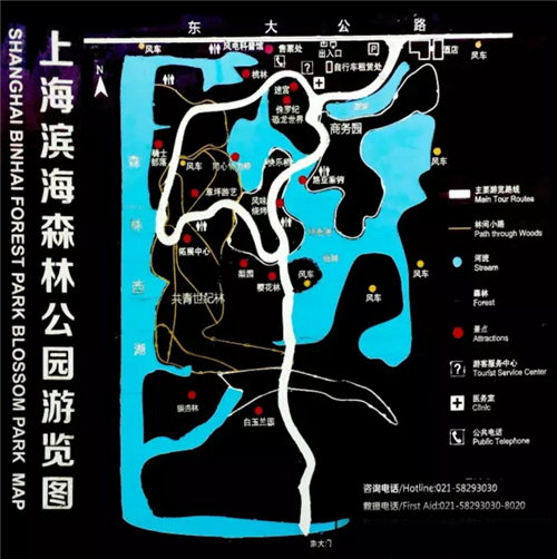 上海八大森林公园,上海滨海森林公园你一定要去!