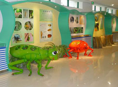 “绿箱子”秋季环保课堂之昆虫博物馆