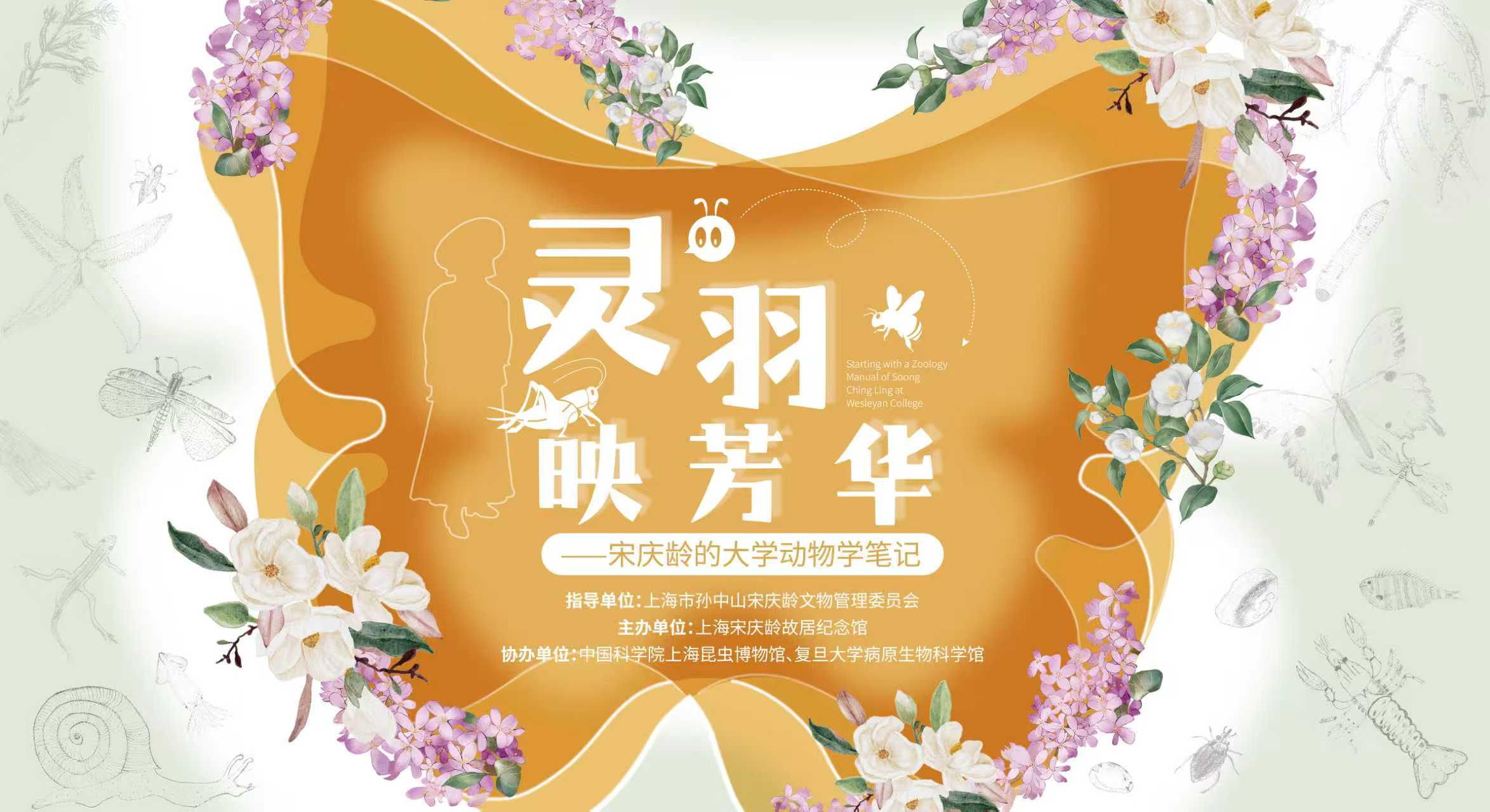 笔尖下的动物派对