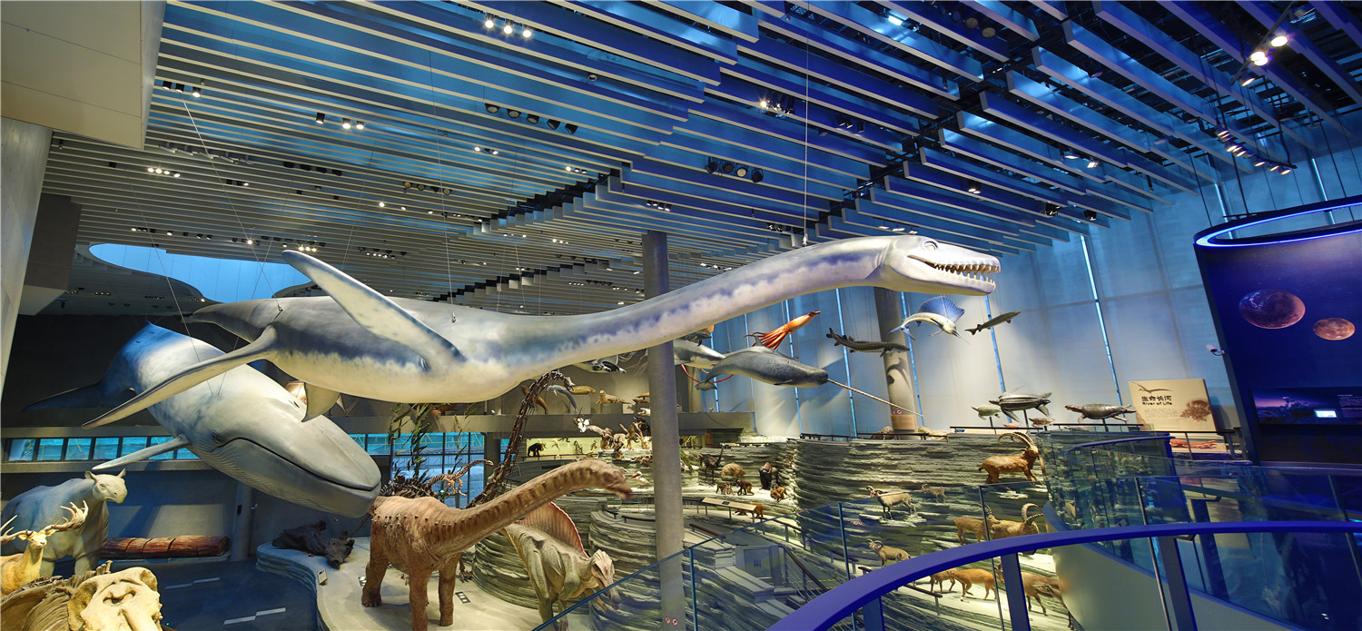 ���� �Ϻ���Ȼ����� �Ϻ��Ƽ��ݷֹ� ������ �װ಩����