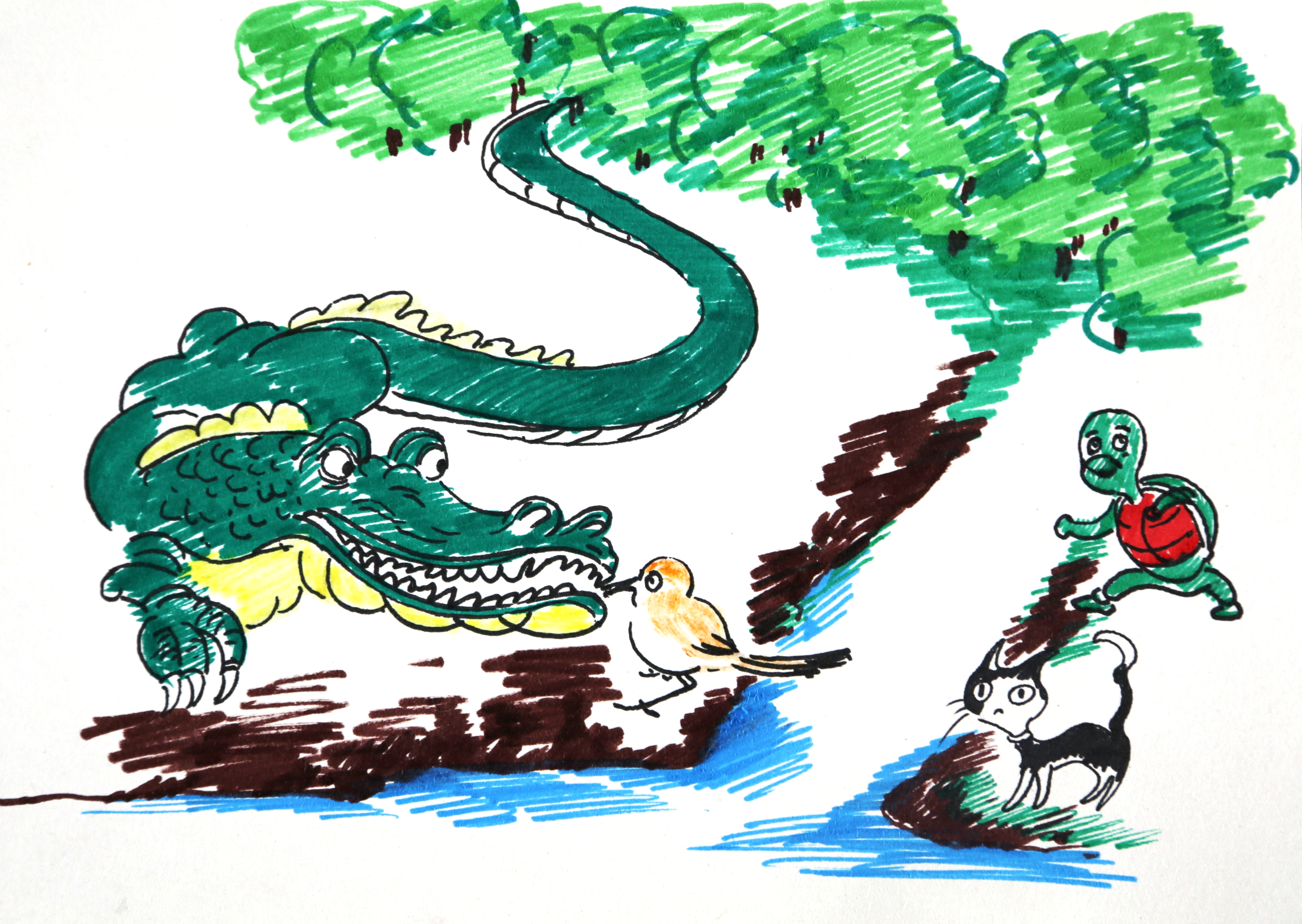 60票鳄鱼与燕千鸟做朋友 投票