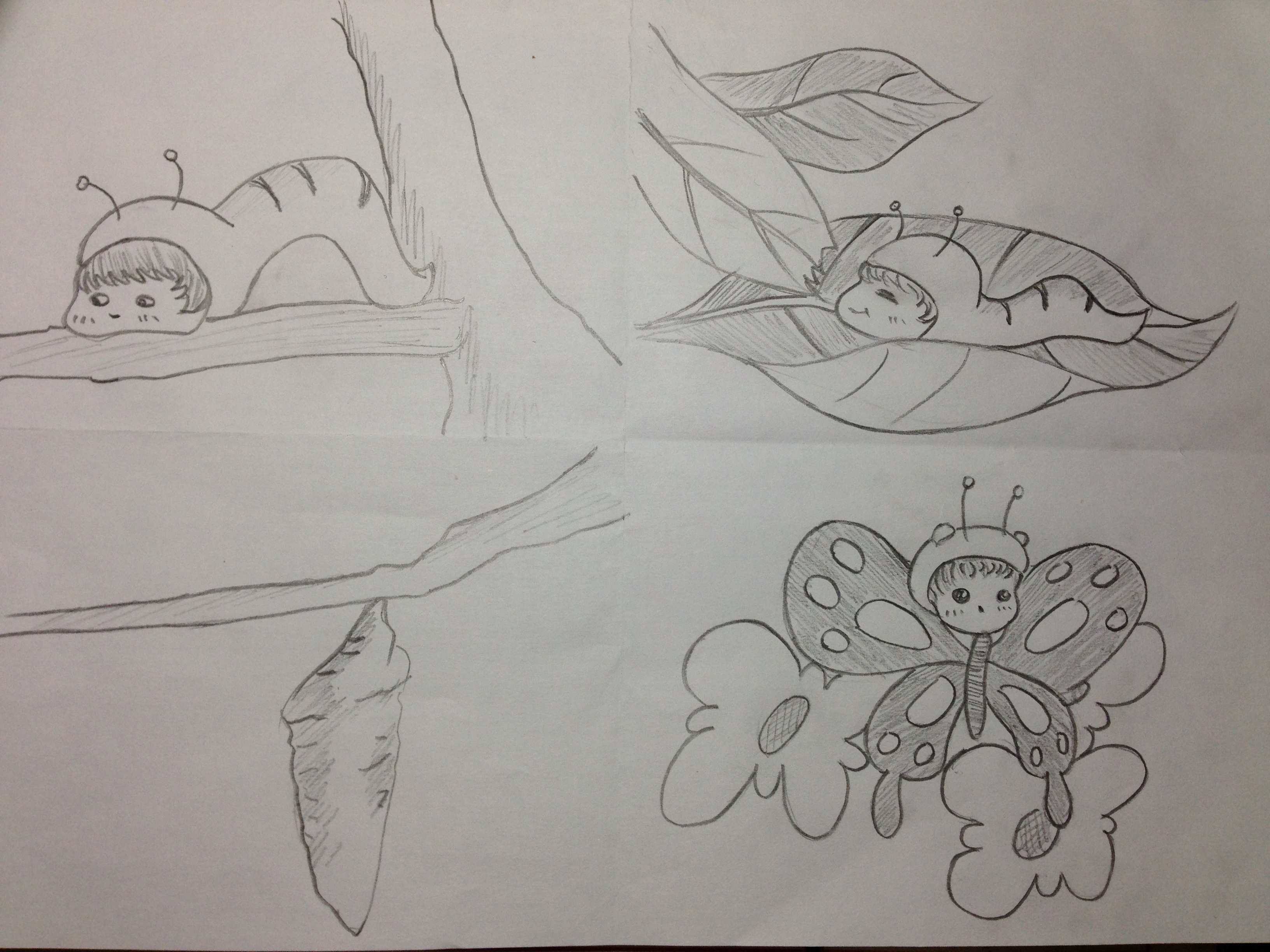 毛毛虫决定找一份适合自己的工作.