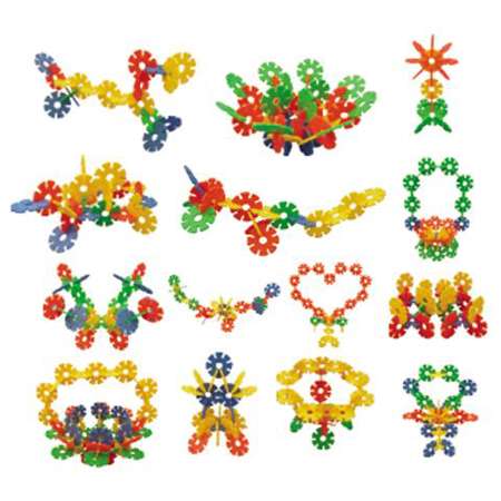 近代灭绝动物讲座及雪花片创意大赛