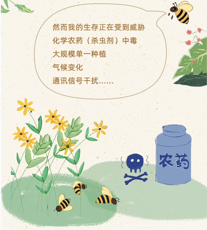 娇兰"蜜蜂学院"将通过一系列活动在孩子们心里种下一颗关爱蜜蜂,保护